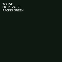 #0E1A11 - Racing Green Color Image